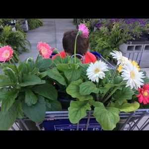 Meet your Posher, Dana